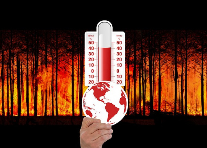 Bahaya Efek Rumah Kaca bagi Keberlanjutan Bumi, Pemanasan Global dan Perubahan Iklim Ekstrem Kian Nyata!