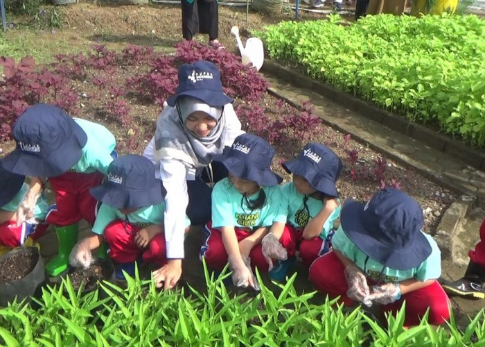 40 petani cilik TK Pusri lakukan penanaman sayur di Agro Edu Park 