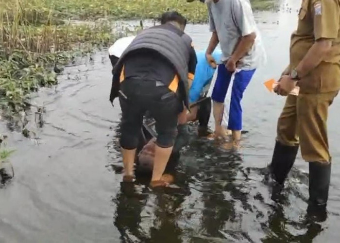 Warga Padi Jaya Plaju Darat Digegerkan dengan Penemuan Sesosok Mayat Pria Paruh Baya Terlentang di Rawa-rawa