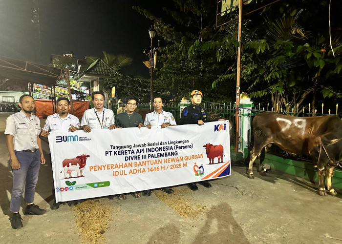 Idul Adha, 30 Ekor Sapi Disumbang KAI Divre III Palembang Di Wilayah Operasional