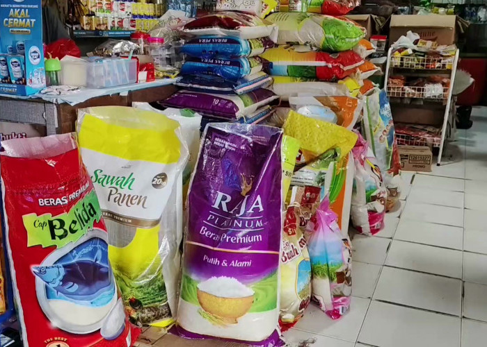 Kasus Beras Oplosan, Disdag Diminta Tinjau Peredaran Beras Premium 