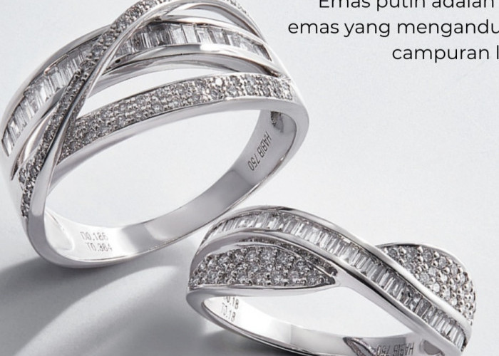Emas Putih Mentah dalam Dunia Modern: Ciri dan Peluang Investasi