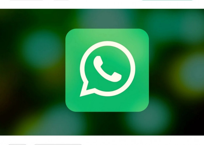 Apakah Kamu Pengguna WhatsApp GB?  Ini yang Wajib Diketahui bagi Penggunanya