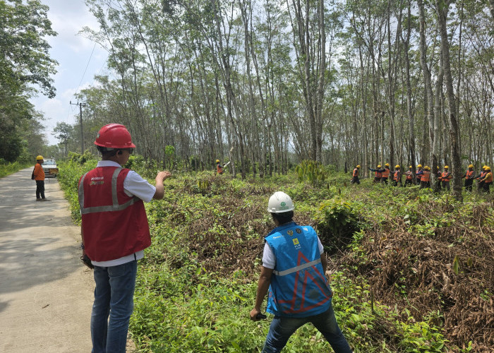 PLN ULP Tugumulyo Gencar Perangi Gangguan Infrastruktur Listrik