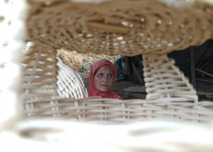 Tangan-tangan Terampil Perempuan Penganyam Rotan Dusun Muara Tenang Kota Pagar Alam