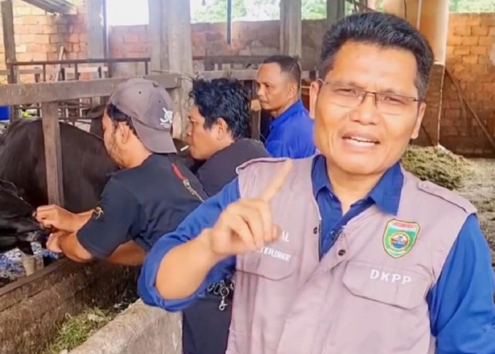 Catat! Berikut 3 Aspek Wajib Penyelenggaraan Kurban 