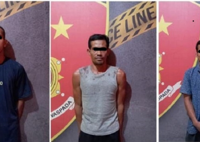 3 dari 5 Pelaku Pencuri Buah Sawit Bermalam di Polsek Tungkal Jaya