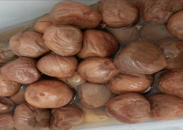 Manisan Asam Payo Sensasi Asam Segar khas Sumatera