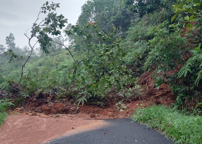 Diterpa Hujan Deras, Jalan Lintas Provinsi di Semendo Darat Laut Tertimbun Longsor