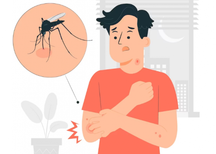 Tak Disadari, Ternyata Ini Penyebab Banyak Nyamuk di Dalam Rumah