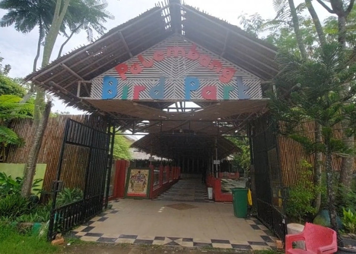 Libur Panjang Nasional Destinasi Wisata Birdpark Jadi Pilihan Keluarga  Libur panjang nasional menjadi momen y