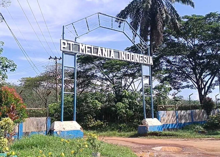 Warga Desa Kemang dan Mainan Sambut Pencabutan HGU PT Melania Indonesia dan Harapkan Keadilan