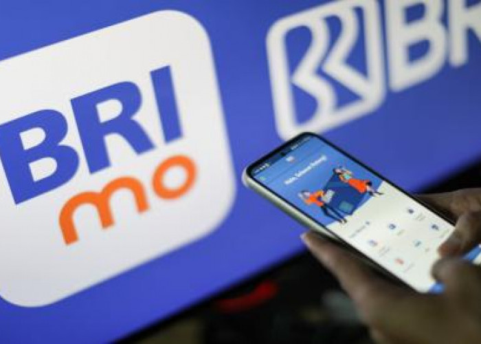 BRI Bawa Perbankan Digital ke Pelosok Desa dengan BRImo!