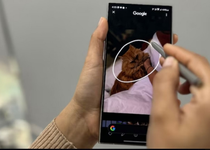 Samsung Galaxy S25 Ultra kini tersedia dengan harga di bawah Rp13,8 juta