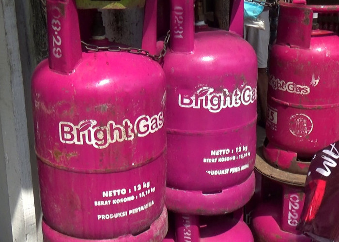 Harga Bright Gas Naik, Stok LPG 12 Kg di Palembang Kosong