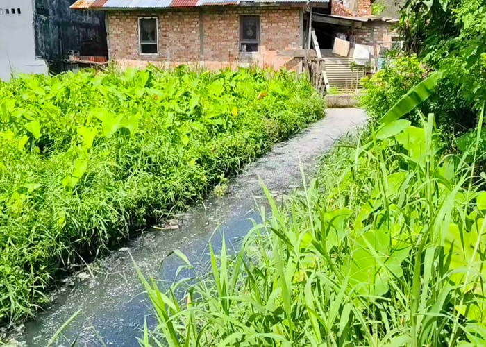 Satpol PP Palembang Panggil 13 Pelaku Usaha Produksi Tahu Pencemar Lingkungan