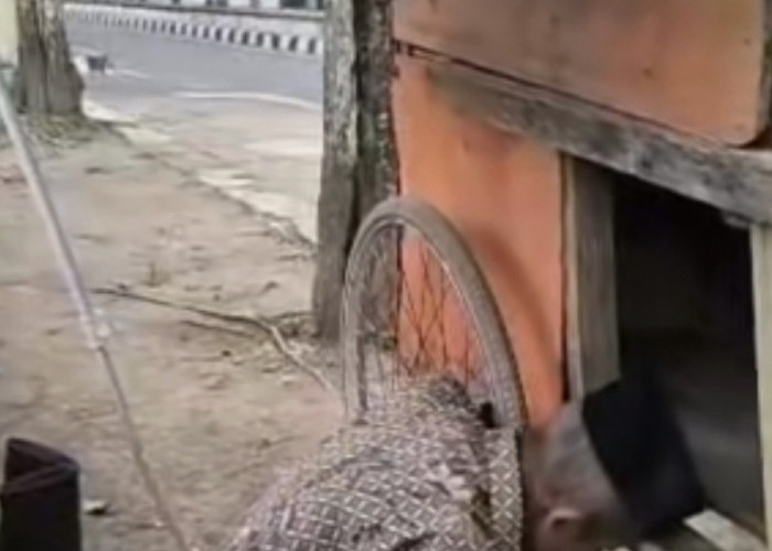 Viral! Kakek Penjual Kerupuk Tetap Khusyu Solat di Samping Gerobaknya Meski Beralas Tikar