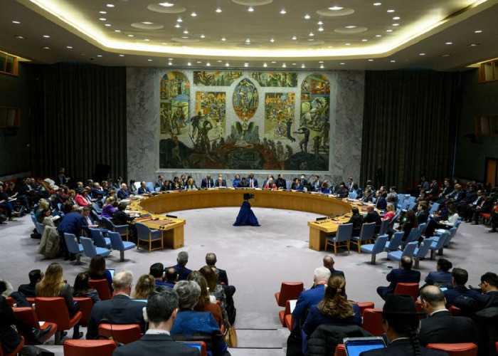 Daftar Negara Yang Mendukung Palestina Menjadi Anggota PBB, Termasuk Indonesia