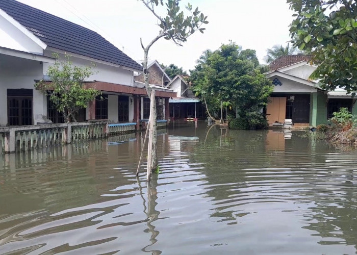 Banjir Ganggu Aktifitas Warga di Kelurahan 2 Ilir