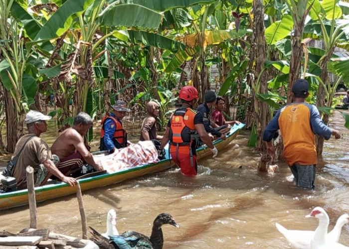 Aisyah Bocah Hanyut Saat Banjir di Musi Banyuasin Ditemukan Tim SAR Gabungan Sudah Meninggal Dunia