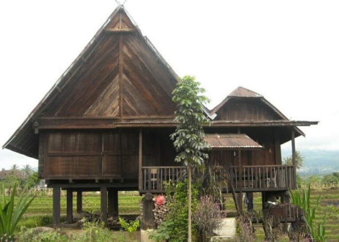 Rumah Baghi, Warisan Budaya Abadi yang Megah di Pagar Alam