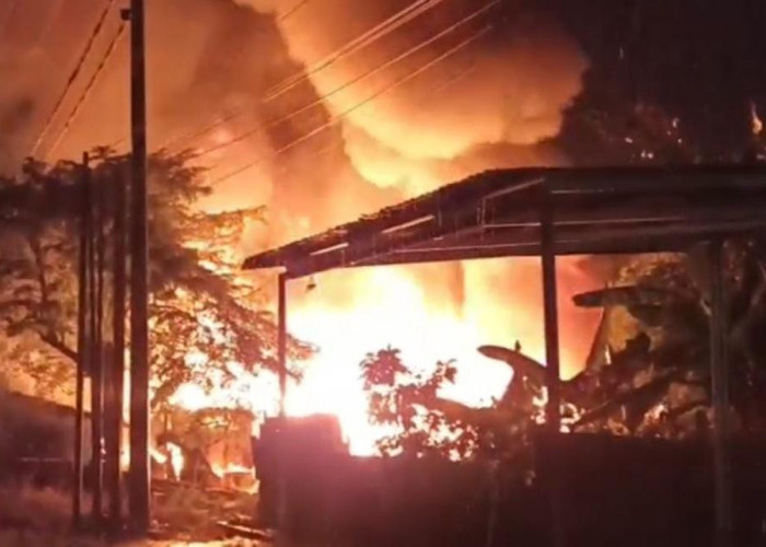 Kebakaran Hebat di Sukarami Tewaskan Ibu Rumah Tangga Pengepul Rongsokan