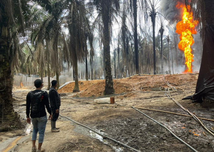 Polisi  Tangkap Pemilik Sumur Ilegal yang Terbakar di Tanjung