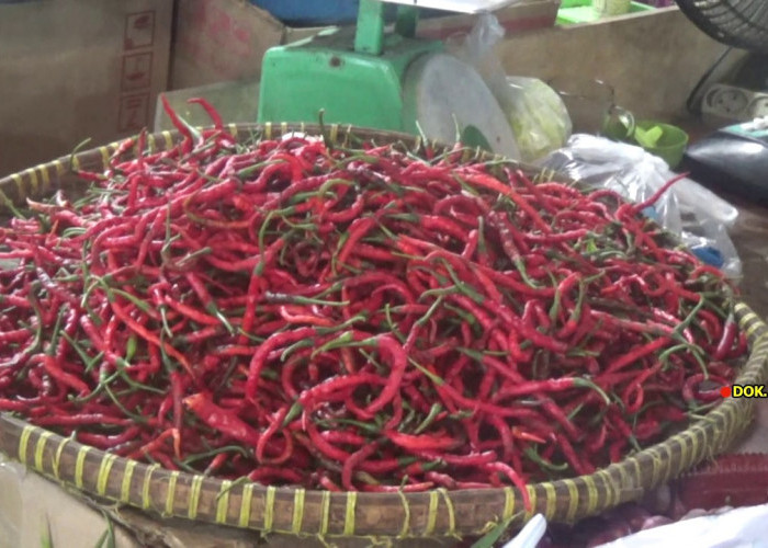 Harga Cabai Merah di Palembang Tambah Pedas, Ini Penyebab Utamanya