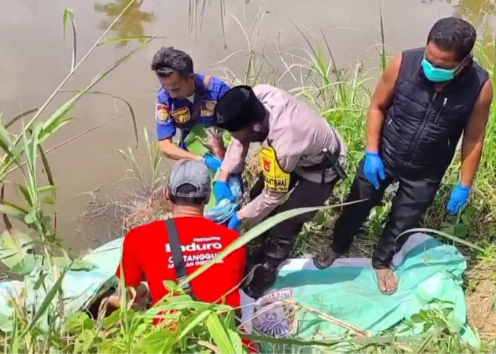 Mayat Pria Lansia Ditemukan Mengapung di Sawah Gegerkan Warga Desa Meritai