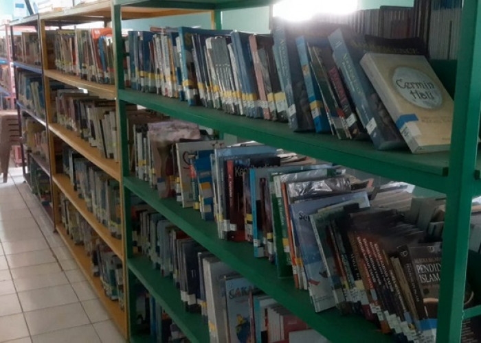 Tingkatkan Minat Baca, Pemkab Ogan Ilir Ajukan Pembangunan Perpustakaan Representatif