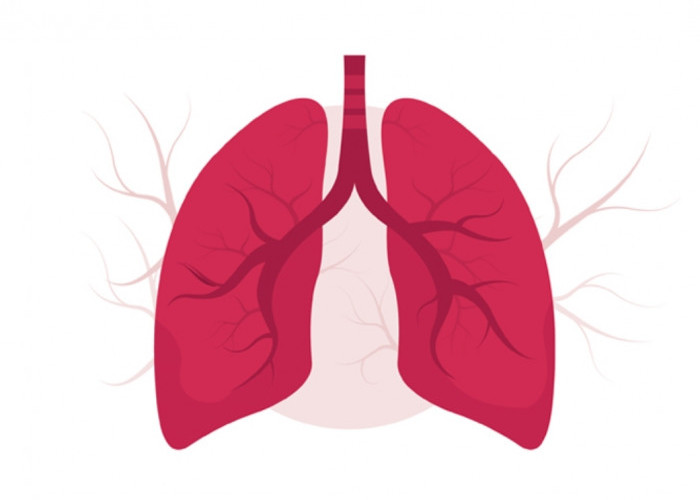 Rahasia Tersembunyi! 14 Cara Menjaga Paru-paru Anda dari Ancaman Polusi Udara yang Mematikan!