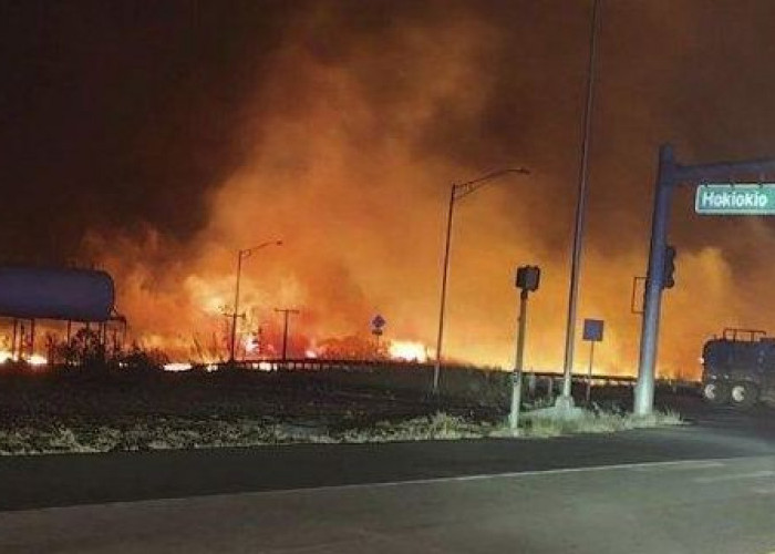 Kebakaran Hutan di Pulau Maui Hawaii Telan Korban Jiwa, 6 Orang Tewas