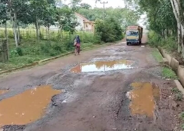 Warga Resah Jalan Rusak Parah dan Berlubang di Desa Rimba Alai Banyuasin III Tak Kunjung Diperbaiki