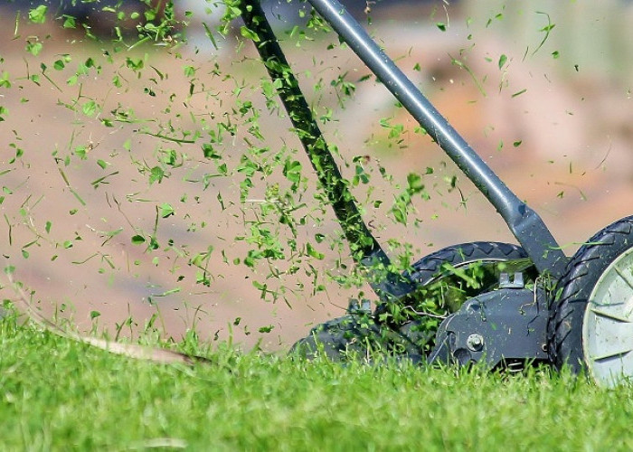 Mesin Potong Rumput 2026: Pilihan Praktis untuk Perawatan Taman dan Lahan