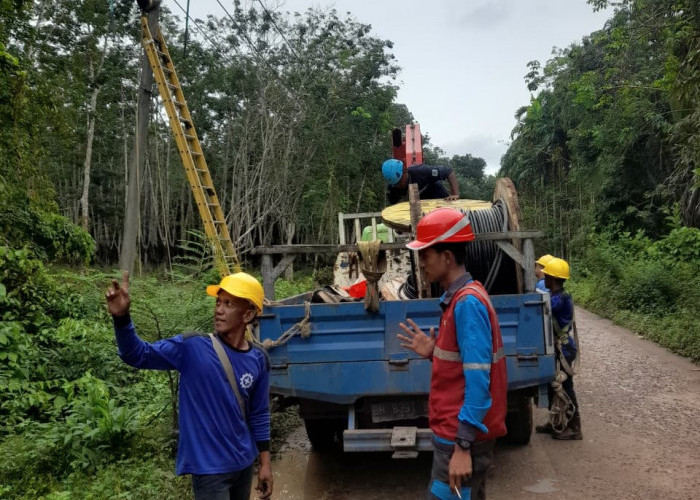 PLN ULP Kayu Agung Tingkatkan Keandalan Jaringan Listrik Melalui Uprating Penyulang Tenggiri 