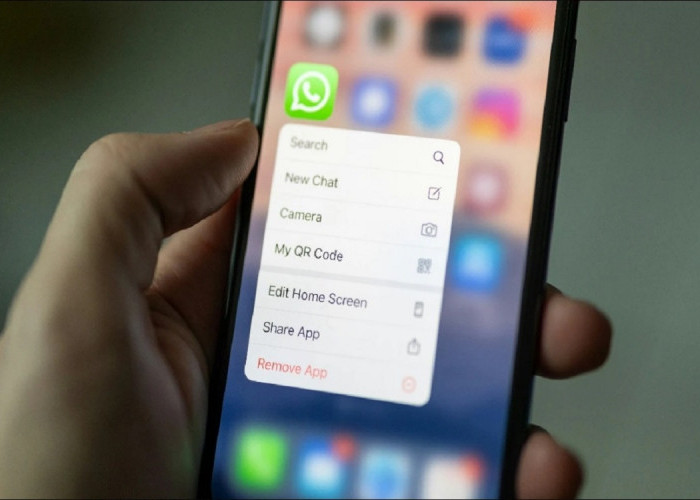 Terbaru! Pengguna Whatsapp Tidak Perlu Internet Untuk Dapat Mengirim Gambar dan Teks