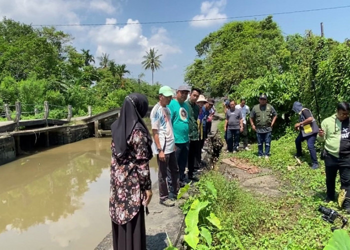 Respon Keluhan Warga, Ratu Dewa Gercep Tinjau Kondisi Infrastruktur
