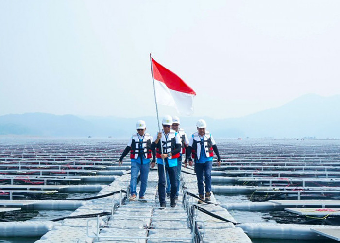 BRI Dukung Pembangunan Berkelanjutan Melalui Green Financing yang Terus Tumbuh Capai Rp89,9 Triliun