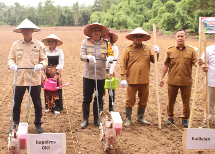 Dukung Program Ketahanan Pangan, Kapolres OKI dan PJ Bupati Memulai Tanam Jagung Serentak