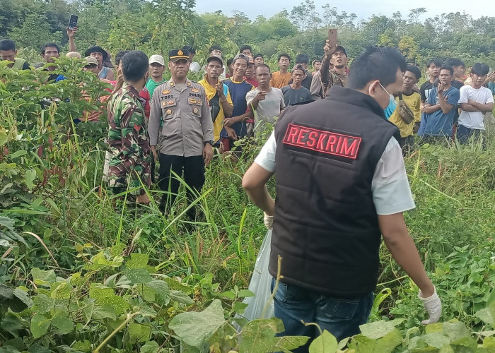 Mrs X Terbujur Kaku di Kebun Nanas, Warga Muara Enim Digegerkan Penemuan Mayat Perempuan
