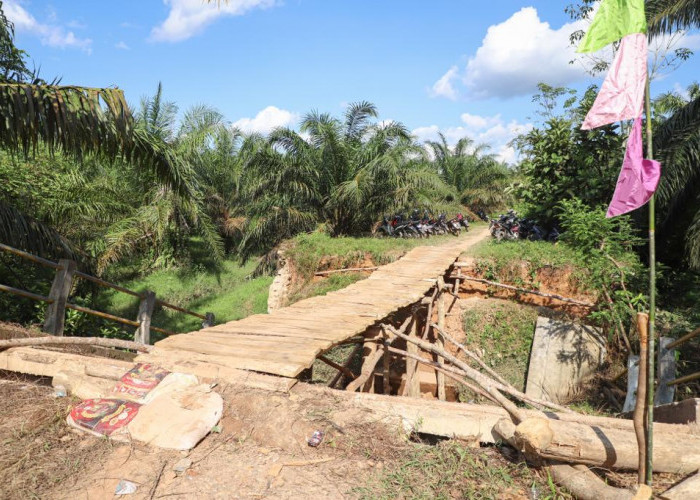 Pj Bupati Muba Apriyadi Akan Segera Perbaiki Jembatan Ambruk di Desa Tanjung Agung Lais