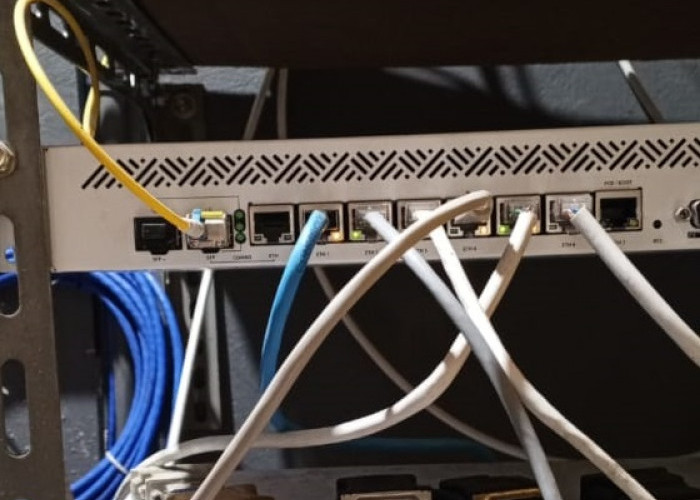 Kabel LAN, Tulang Punggung Teknologi Komunikasi Jaringan Kontemporer