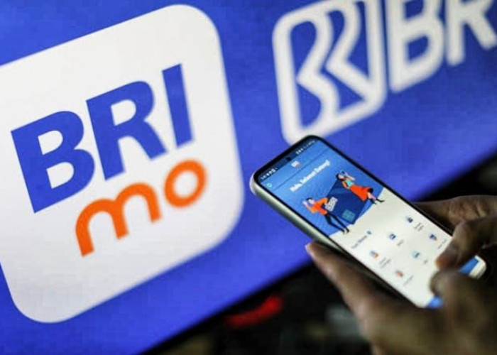 Merasa Terbantu dengan BRImo, Transaksi Harian Jadi Lebih Mudah dan Cepat