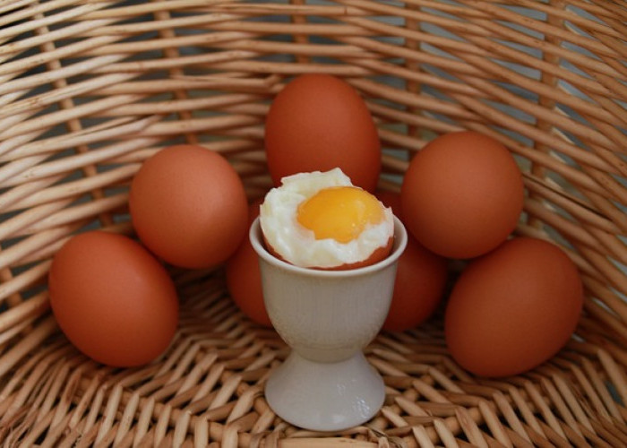 Rahasia Tersembunyi Putih Telur: Inilah Alasan Mengapa Anda Disarankan Makan Putih Telur Setiap Hari!