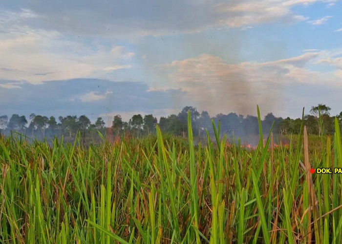 Hingga April 2026, sebanyak 857 Hotspot terdeteksi di Sumsel