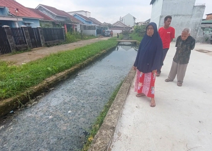 Limbah Tahu Cemari Anak Sungai di Kelurahan Bukit Lama, Belum Ada Solusi dari Pemkot Palembang