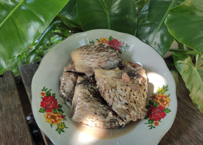 Resep Antigagal Pembuatan Bekasam (Pekasam) Kuliner Khas Sumatera Selatan