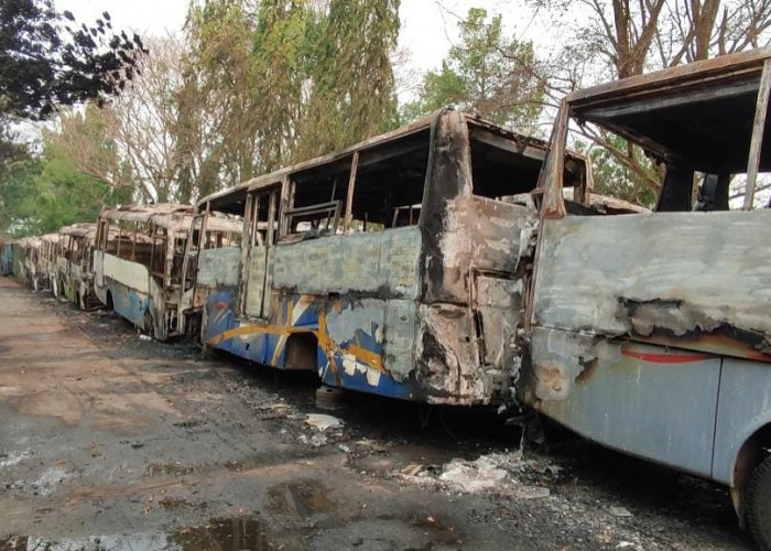 12 Unit Bus Trans Musi  Rusak  Hangus Terbakar di Kawasan Terminal Alang-Alang Lebar Palembang