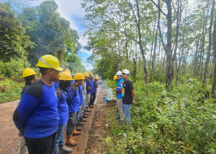 PLN UP3 Ogan Ilir Lakukan Perbaikan Tegangan Drop di Wilayah Tulung Selapan
