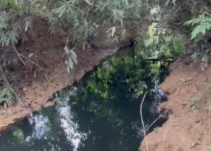 Sungai di Desa Sungai Dua Muba Tercemar Minyak, Kebakaran Hebat Terjadi di Perbatasan Pali-Muba